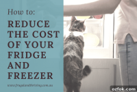 Cut Fridge and Freezer Energy Bills: Save on Home Cooling Costs
