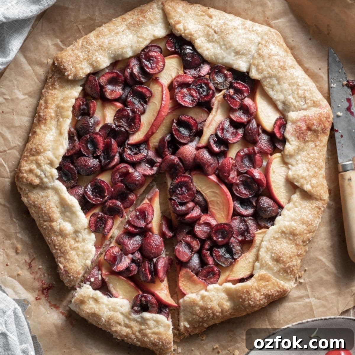 featured 11242