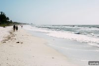 Florida’s 12 Coastlines: Complete Guide to Beaches & Towns