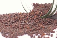 7 Alternatives to Black Mustard Seeds for Cooking and Pickling