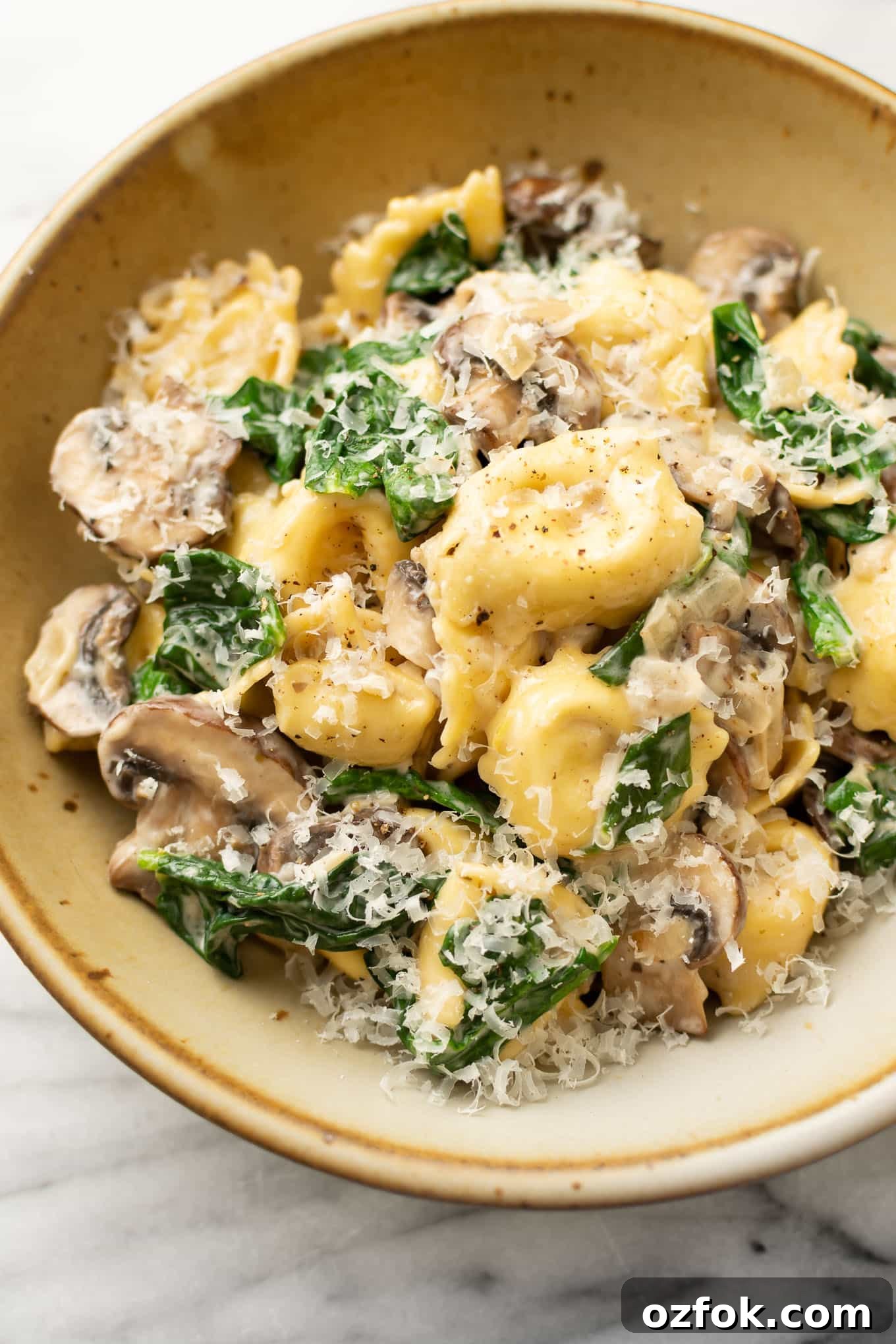 featured 28447