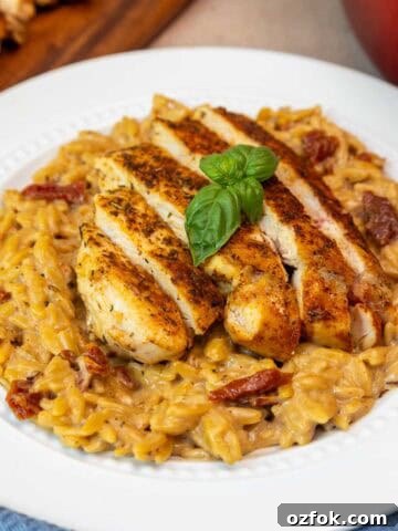 One Pan Marry Me Chicken Orzo