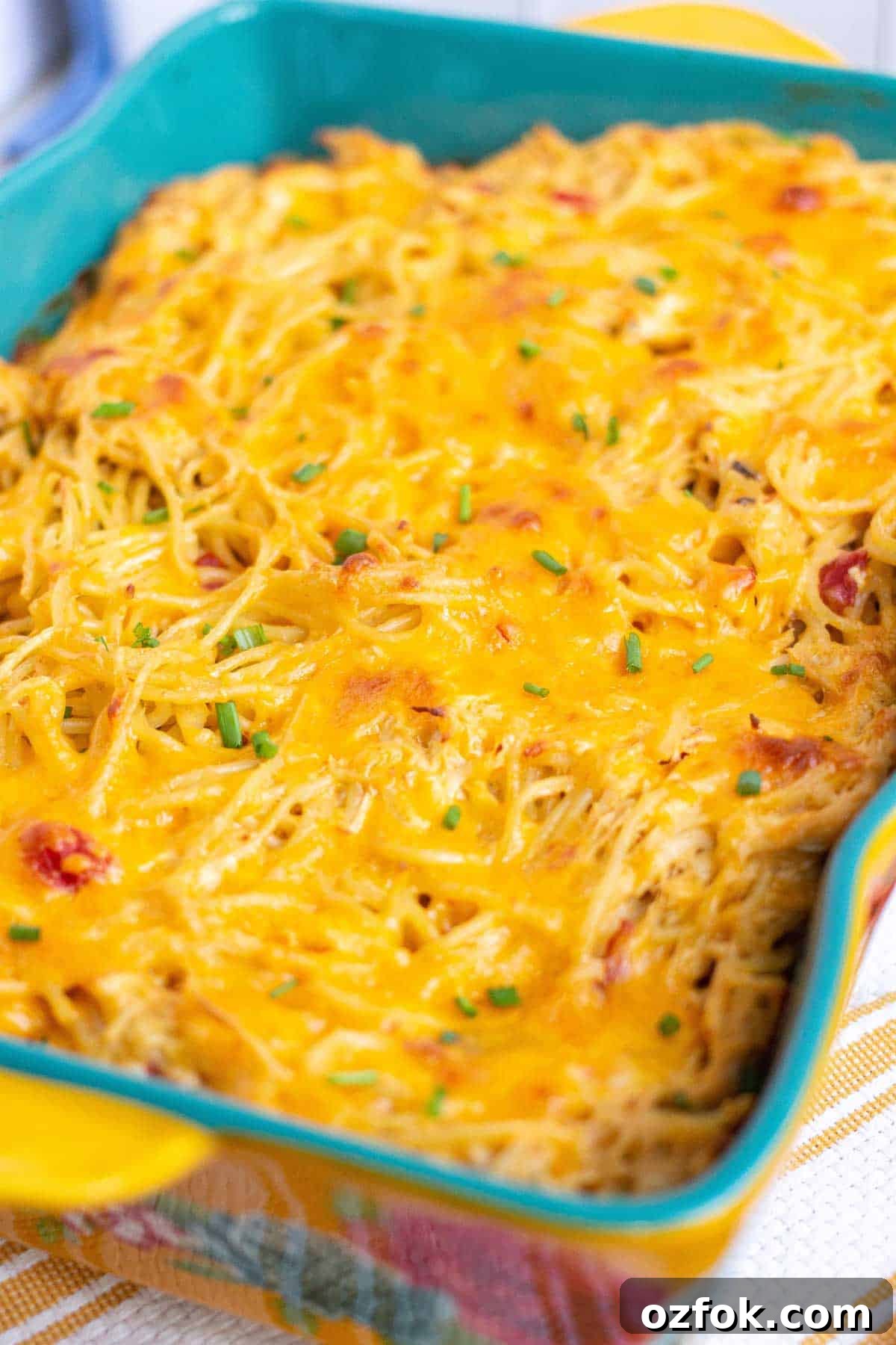 Creamy Rotel Chicken Spaghetti with Velveeta Cheese 9 Rotel chicken spaghetti baked in a 9x13 dish and garnished with chives.