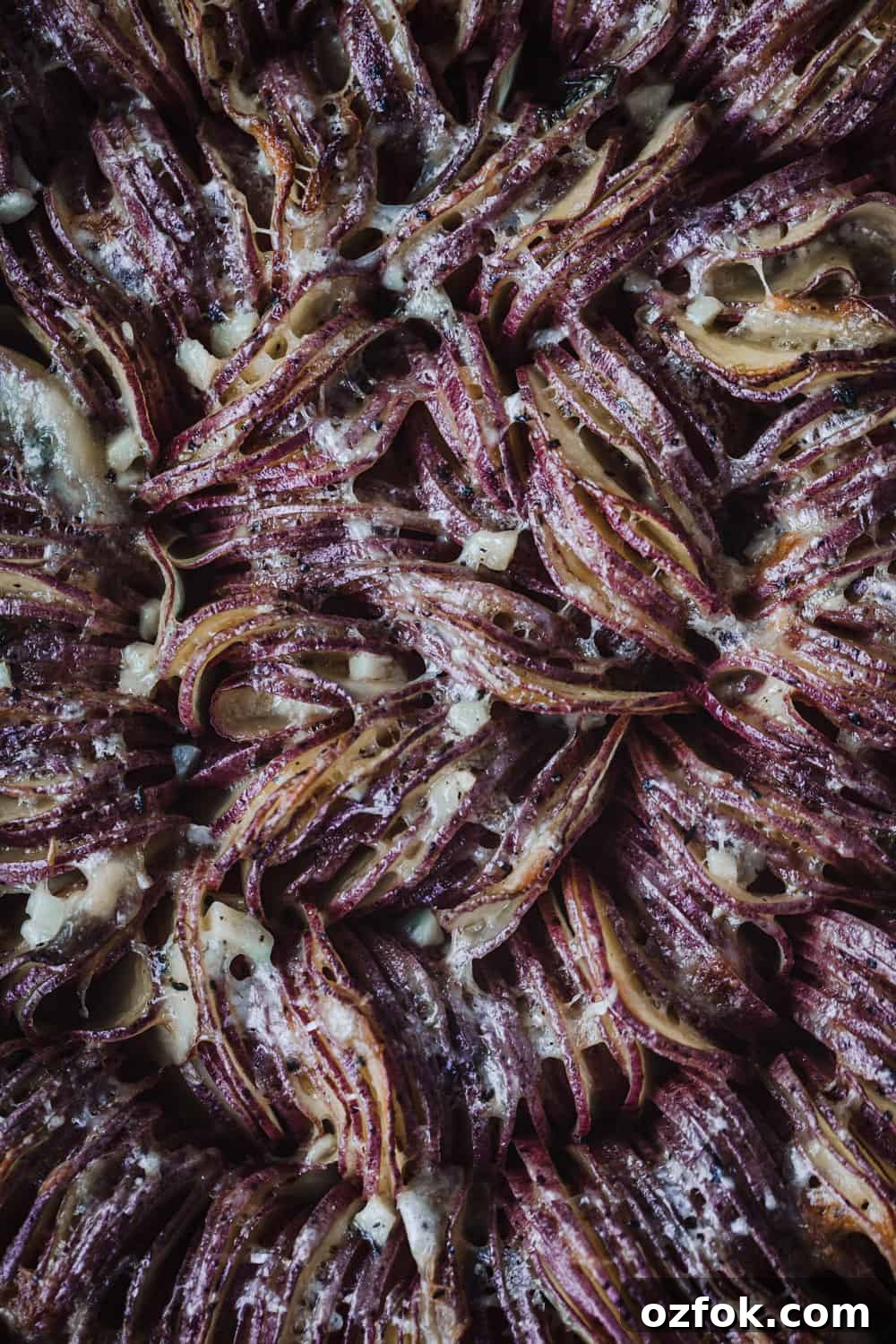 Crispy Hasselback Potato Gratin: Creamy Layered Comfort Dish 7 up close and overhead shot of the hasselback potato gratin