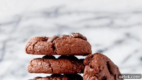 Chewiest Chocolate Cookies