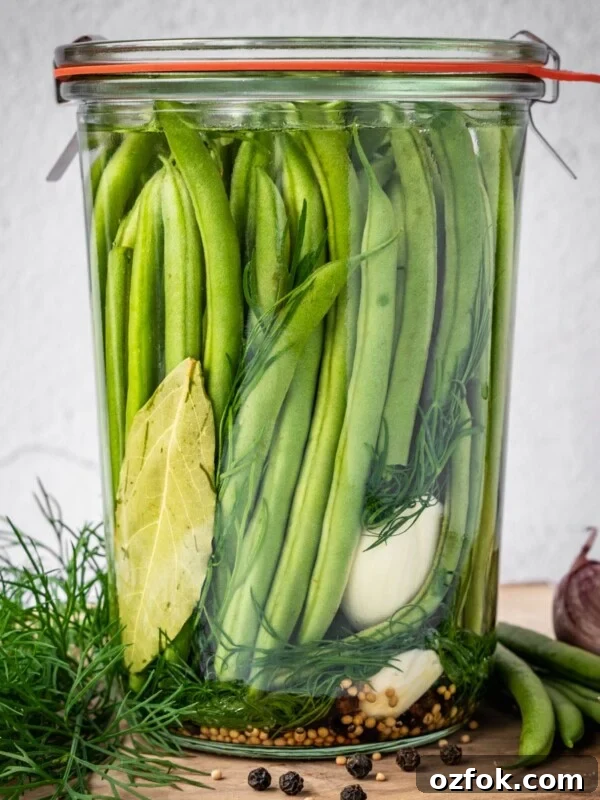 Sealed and labeled jar of dilly beans on a board with dill, peppercorns, mustard seeds, beans and garlic around the base.