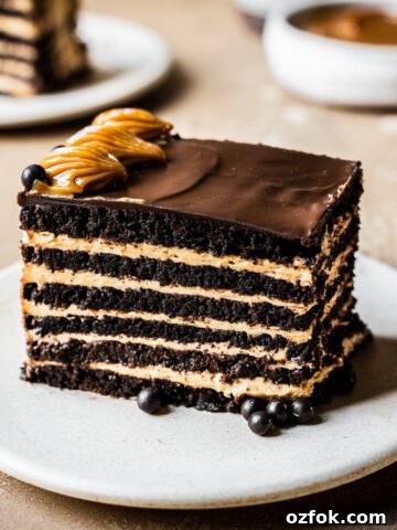 A side view of a rectangular piece of chocotorta icebox cake.