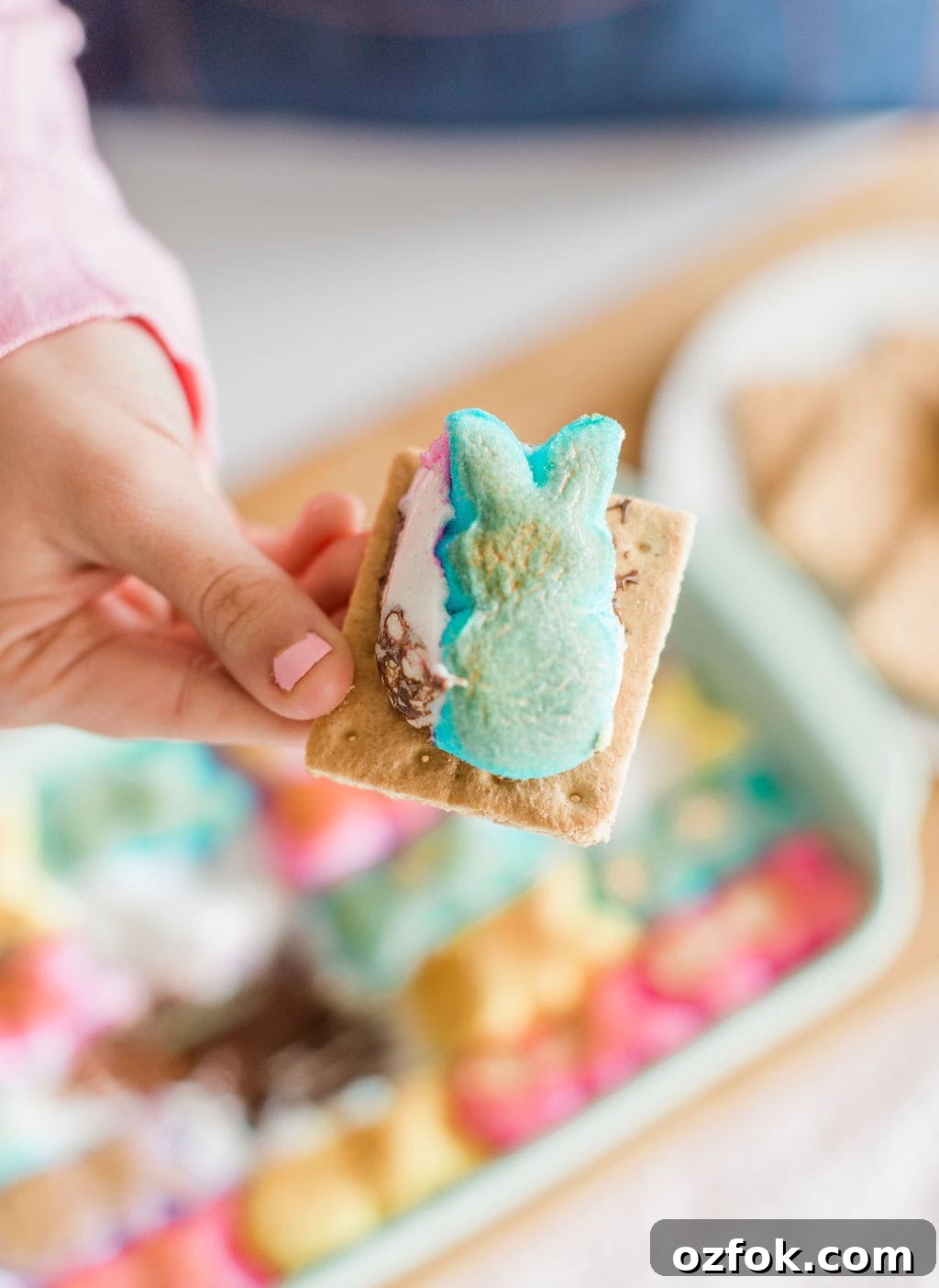 Peeps S’mores Dip Recipe: Gooey Marshmallow Chocolate Dip 2 img 110209 1