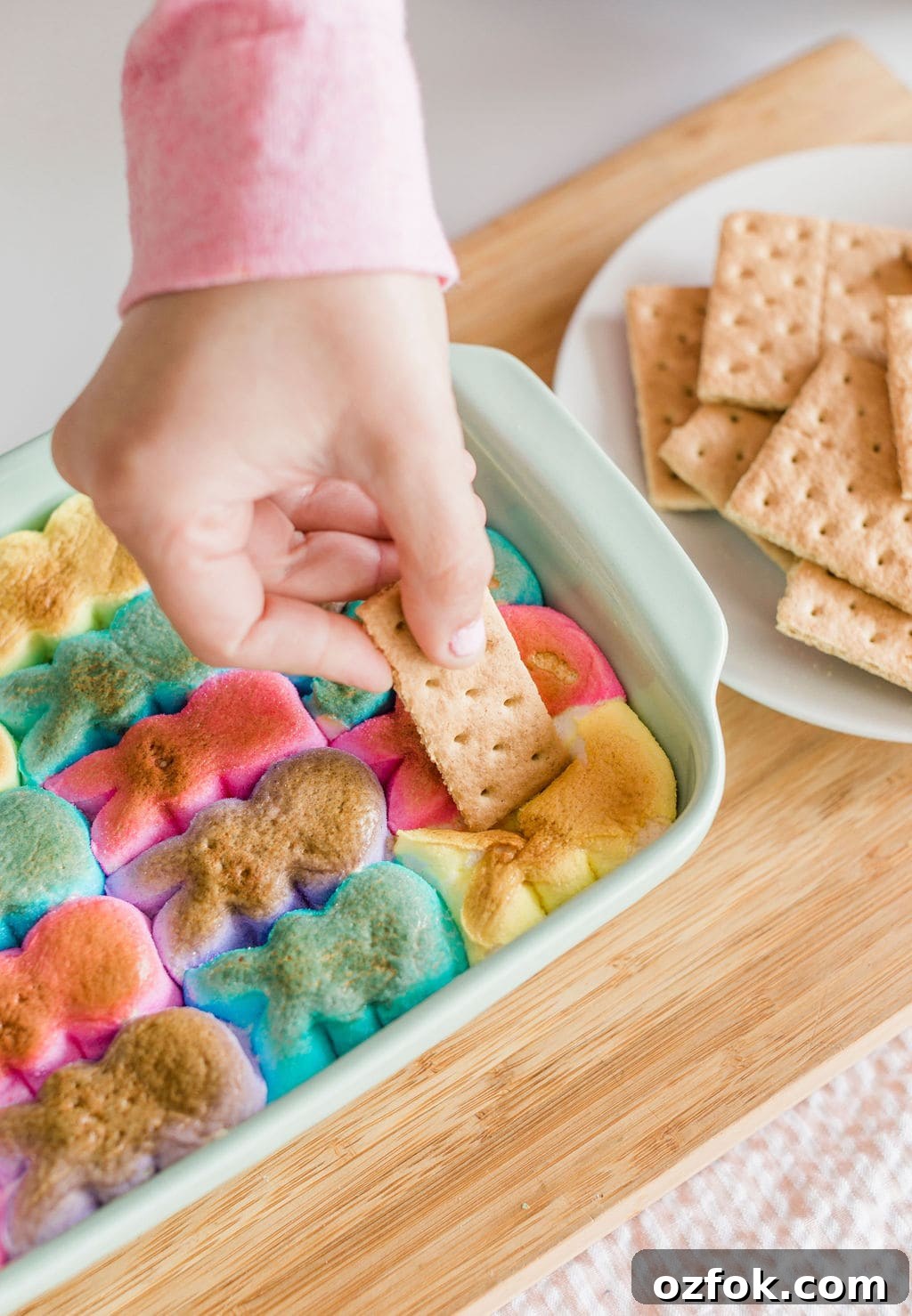 Peeps S’mores Dip Recipe: Gooey Marshmallow Chocolate Dip 3 img 110209 2