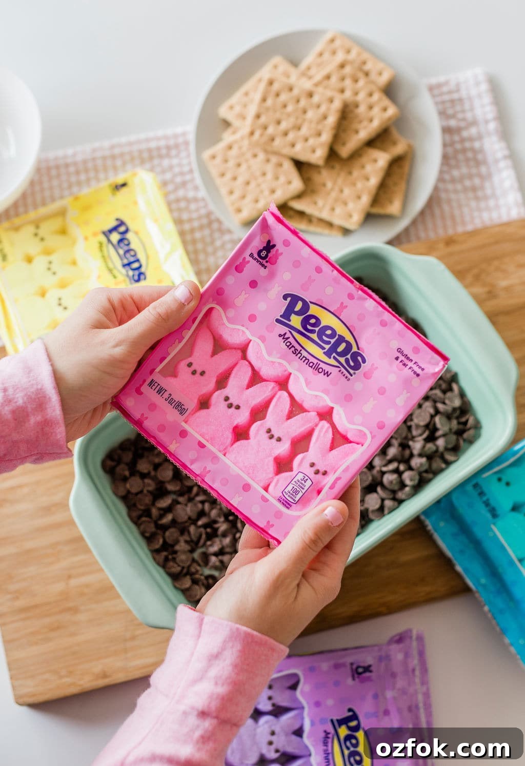 Peeps S’mores Dip Recipe: Gooey Marshmallow Chocolate Dip 5 img 110209 4