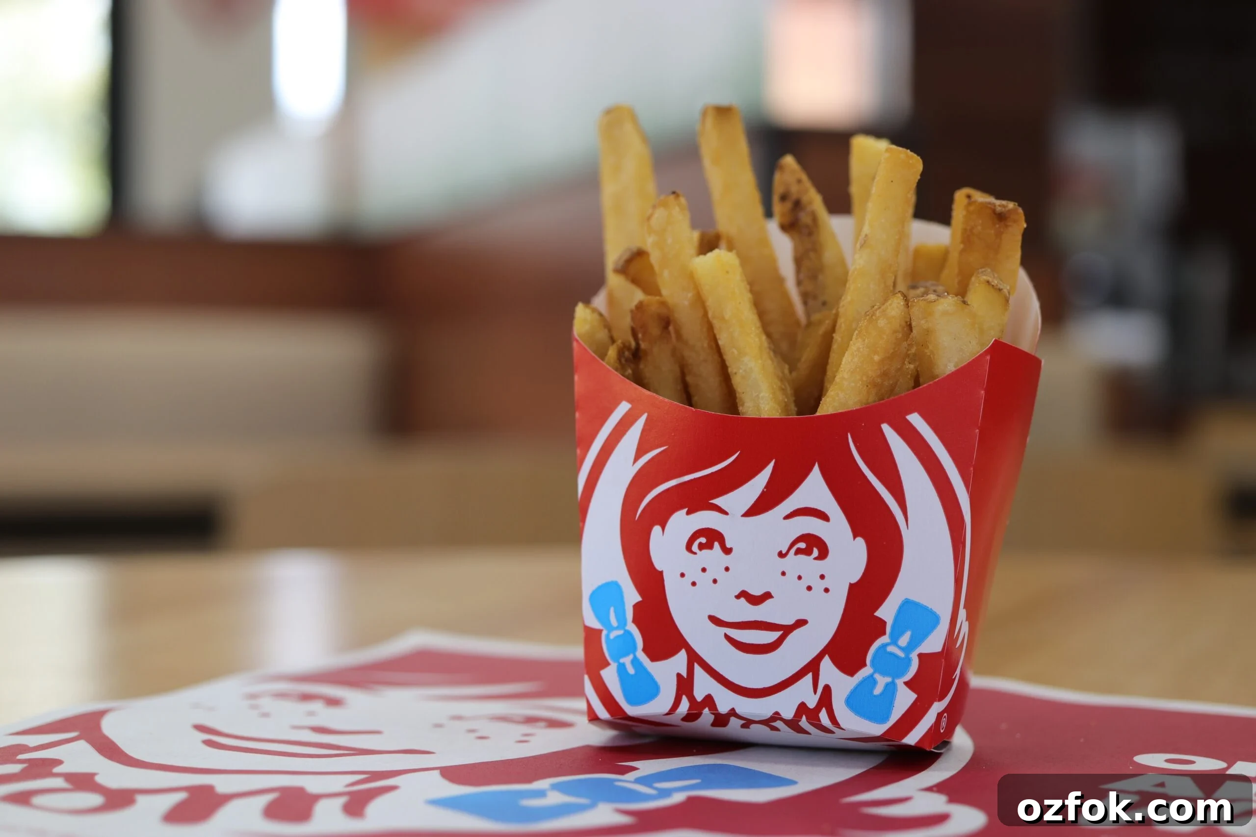 Popular Burger Chain to Close 300+ U.S. Restaurants; Illinois Braces for Multiple Shutdowns 2 Wendy's fries