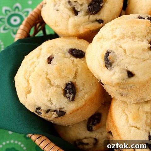 Irish Soda Bread Muffins (Small Batch)