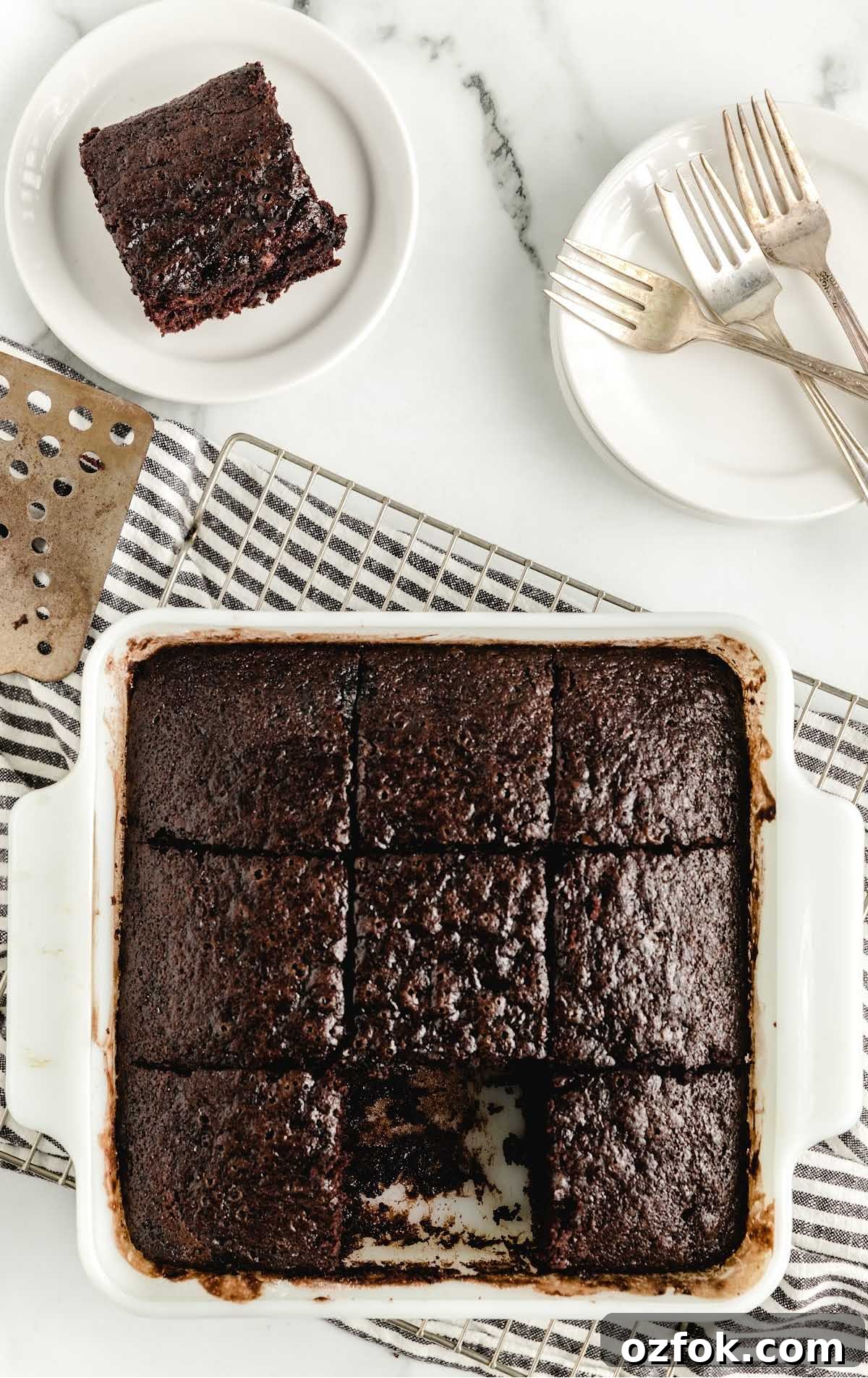 Unfrosted Crazy Cake Recipe — No Eggs, Milk, or Butter Needed 8 overhead shot of slices of chocolate cake cut in a cake pan