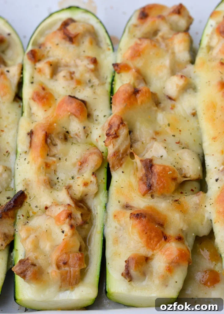 Chicken Alfredo Zucchini Boats Recipe for Low-Carb Dinners 2 Chicken Alfredo Zucchini Boats: stuffed zucchini filled with chicken, alfredo and cheese