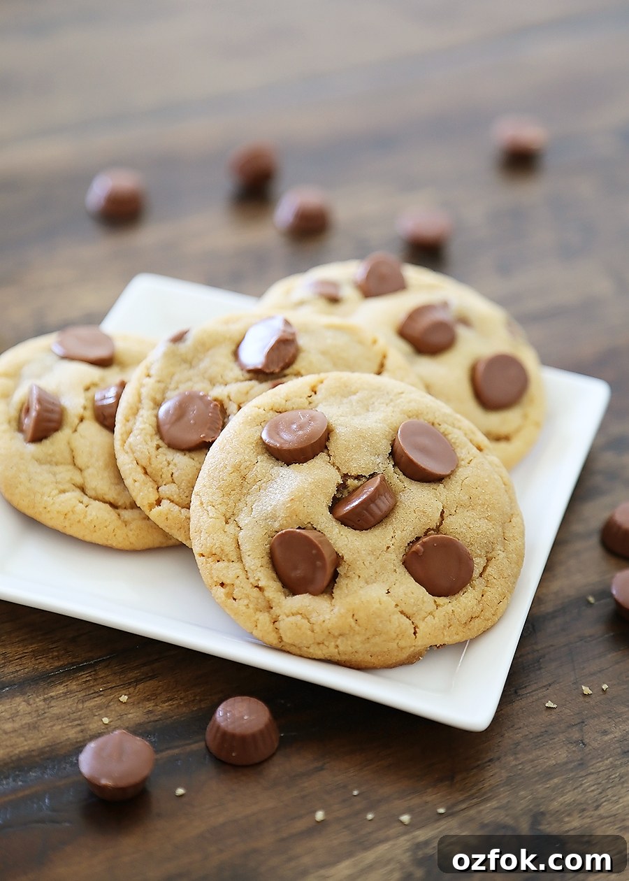 Chewy Peanut Butter Cup Cookies Recipe 6 Soft Peanut Butter Cup Cookies - Perfectly soft and chewy peanut butter cookies, with gooey chocolate peanut butter cups hidden inside! Thecomfortofcooking.com
