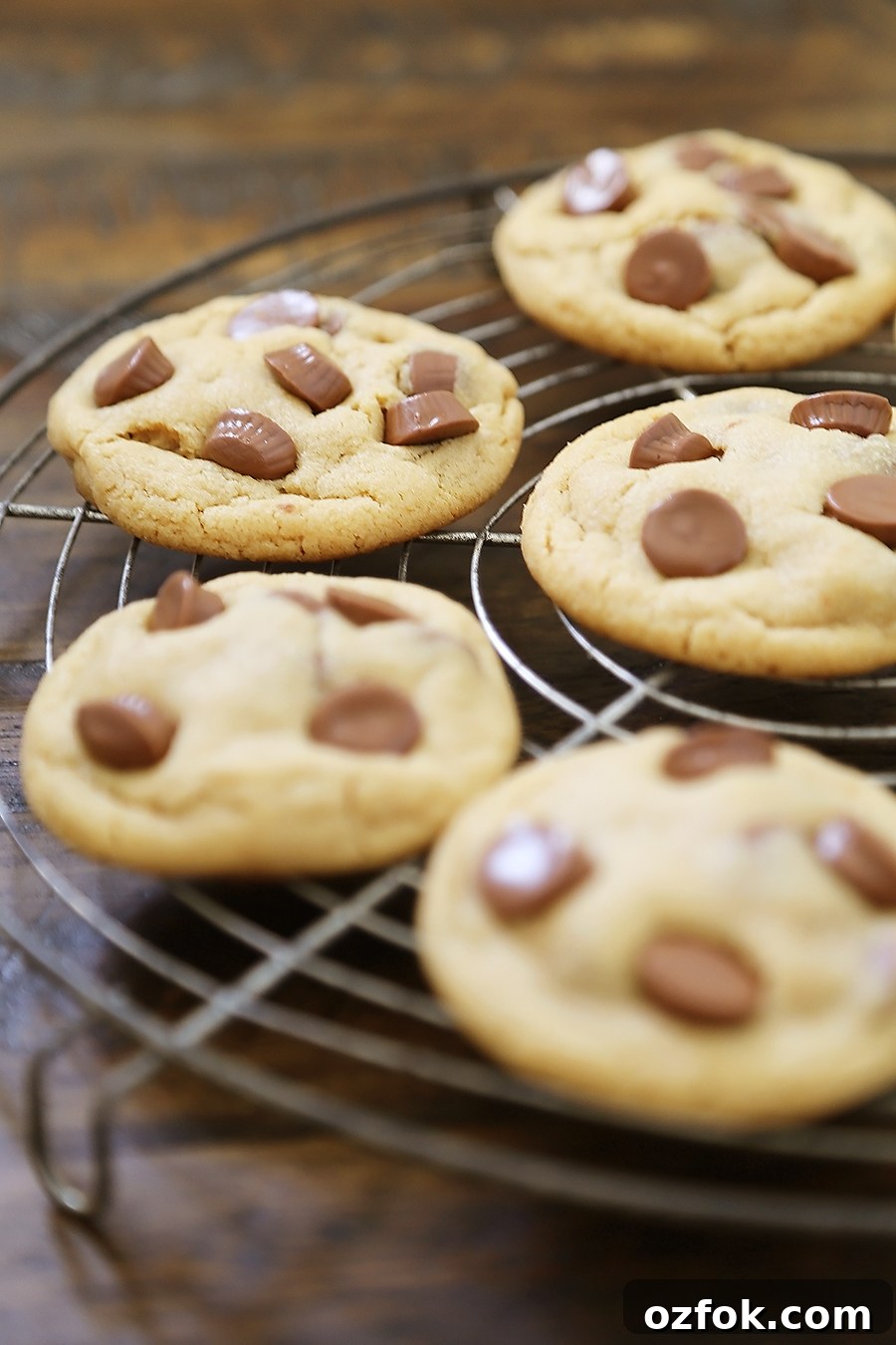 Chewy Peanut Butter Cup Cookies Recipe 8 Soft Peanut Butter Cup Cookies - Perfectly soft and chewy peanut butter cookies, with gooey chocolate peanut butter cups hidden inside! Thecomfortofcooking.com
