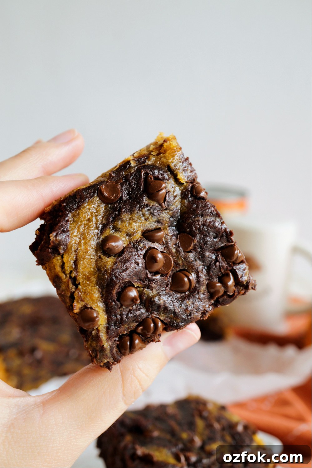 Vegan Pumpkin Swirl Brownies Recipe — Moist & Decadent 7 square of vegan pumpkin swirl brownie in hand