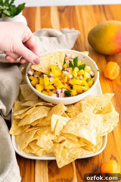 Spicy Mango Habanero Salsa Recipe for Fresh Summer Parties 2 hand dipping chip in mango habanero salsa