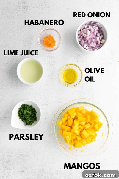 Spicy Mango Habanero Salsa Recipe for Fresh Summer Parties 3 ingredients for mango habanero salsa
