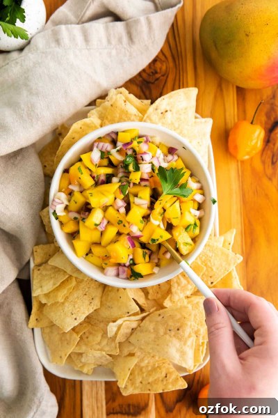 Spicy Mango Habanero Salsa Recipe for Fresh Summer Parties 8 overhead shot of mango habanero salsa