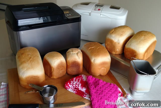 French Country Herb Bread Recipe: Rustic Loaf with Garlic & Thyme 3 Many loaves of Bread