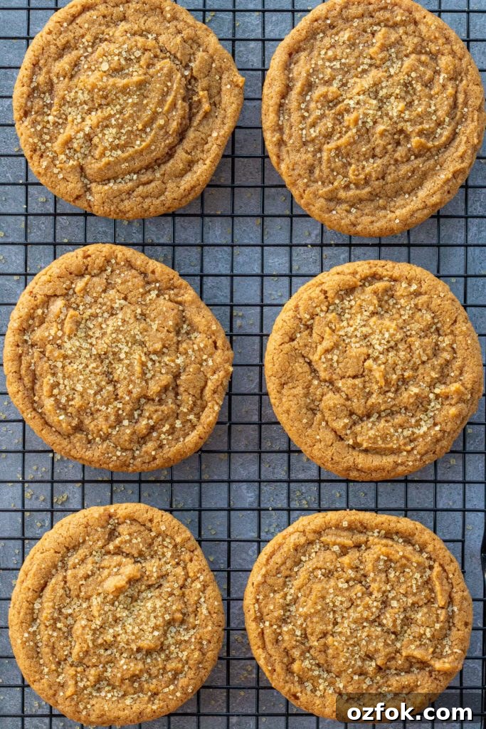 Chewy Gluten-Free Pumpkin Cookies Recipe for Fall Baking 6 six round golden brown cookies sit on a cooling rack side by side over a dark blue backdrop. The cookies have crinkly tops and are sprinkled with coarse sugar.