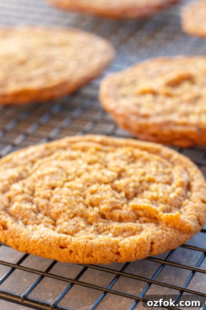 Chewy Gluten-Free Pumpkin Cookies Recipe for Fall Baking 8 a golden brown pumpkin cookie is featured close up, sitting on a cooling rack above a dark blue backdrop. The cookie is crinkly on top and sprinkled with a coarse sugar.