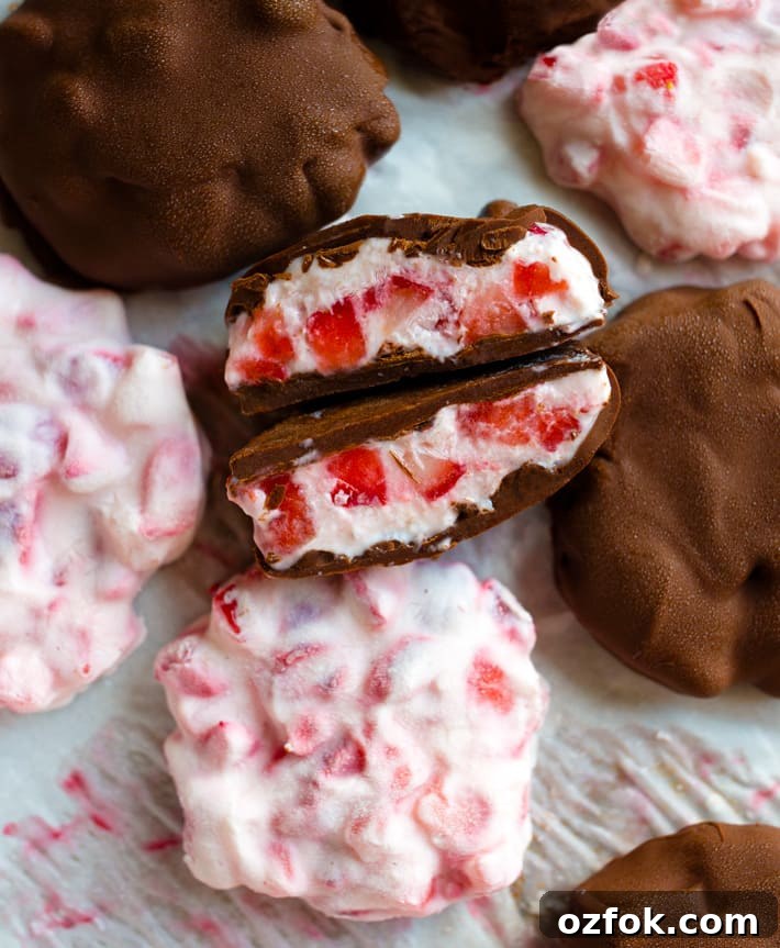 Chilled Strawberry Gazpacho Recipe for Summer Entertaining 5 Chocolate Strawberry Yogurt Snack Bites