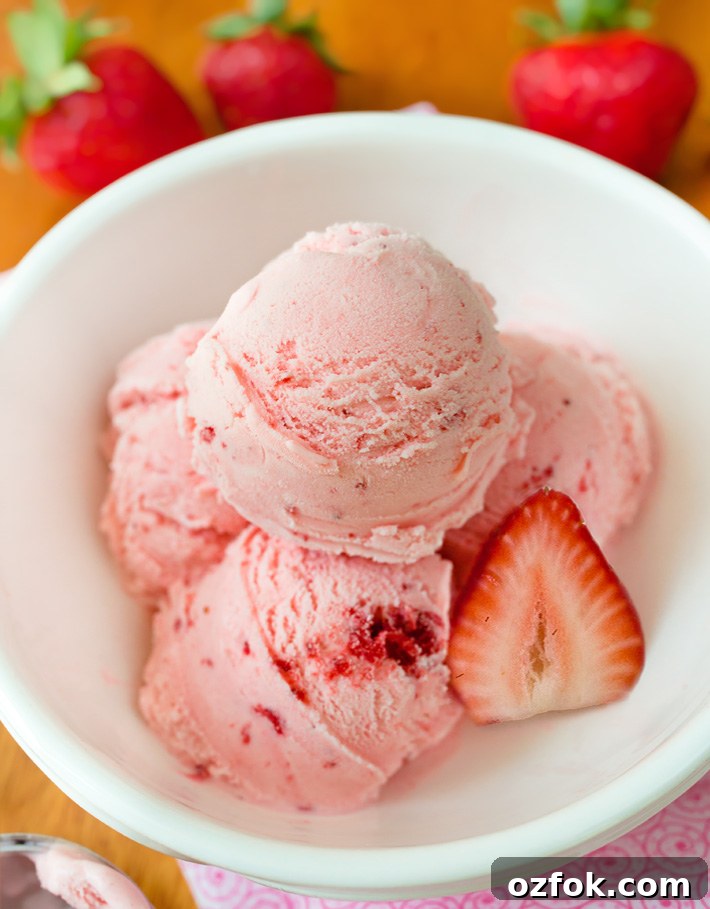 Vegan Strawberry Ice Cream Vegan Strawberry Ice Cream Dessert