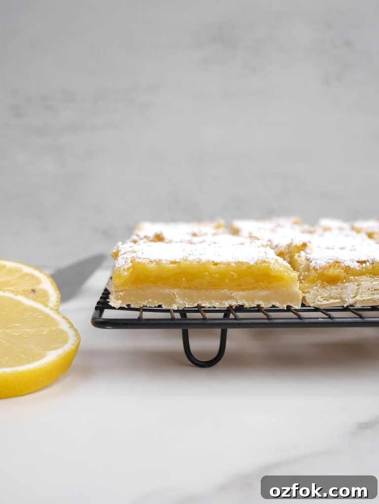 Authentic Amish Lemon Bars Recipe for Tangy Dessert Success 6 img 14351 5