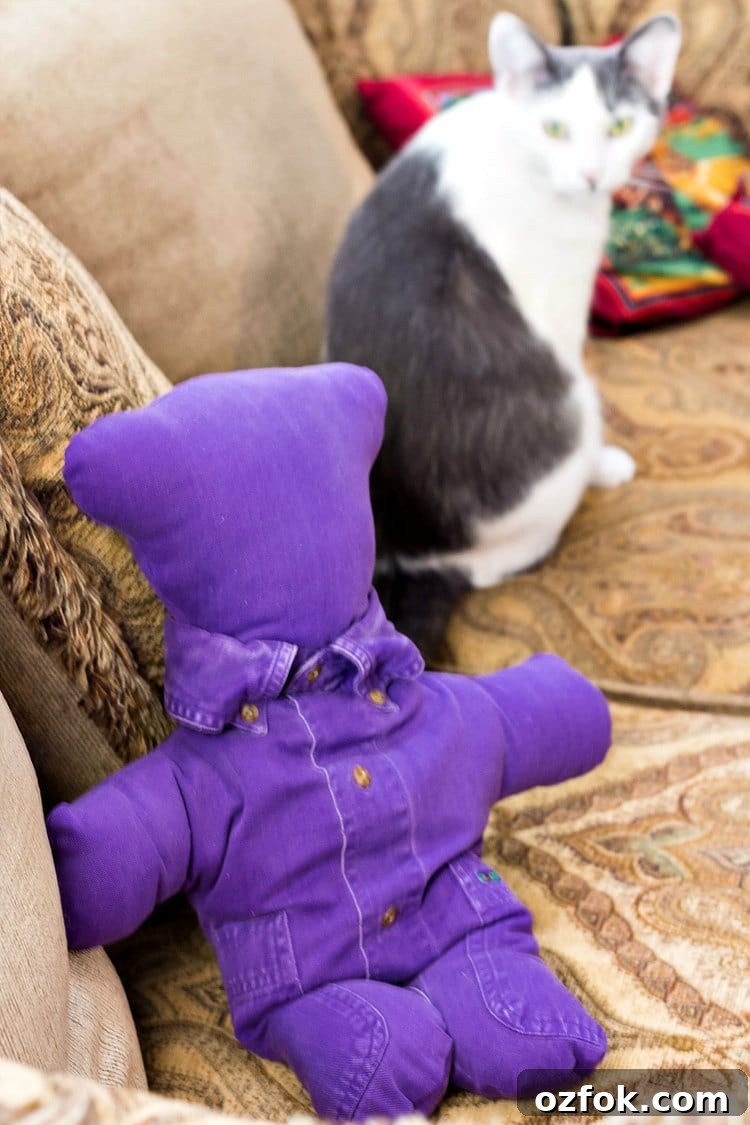 Purple teddy bear made from favorite shirt. Cat looks on.