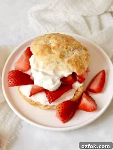 Single serve strawberry shortcake with a biscuit, whipped cream, and fresh strawberries.