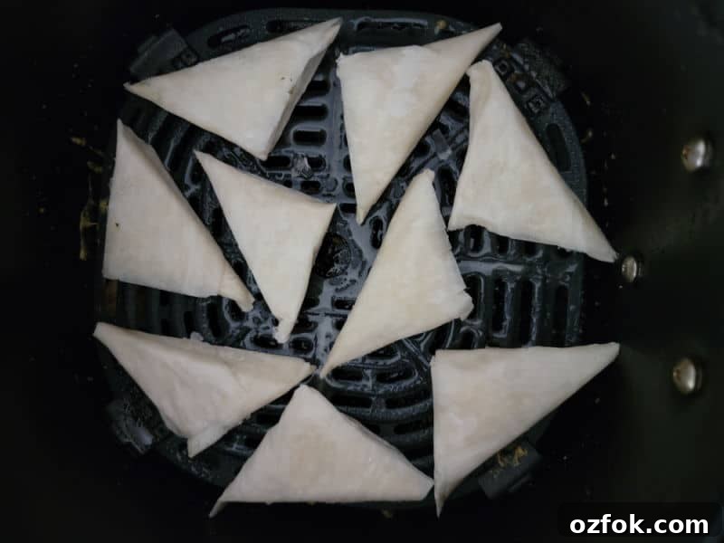 Frozen spanakopita in the air fryer basket