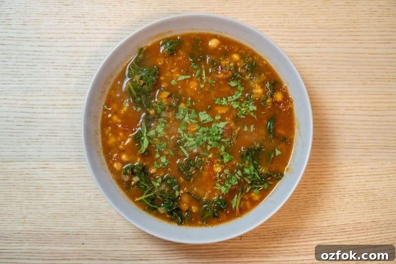 Moroccan Spiced Vegetarian Harira Soup Recipe for Cozy Meals 2 Vegetarian Harira Soup