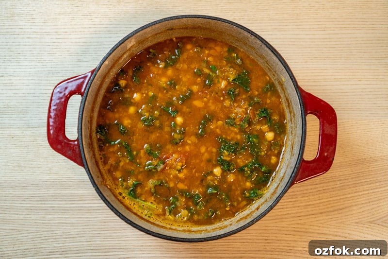 Moroccan Spiced Vegetarian Harira Soup Recipe for Cozy Meals 9 Vegetarian harira ready to serve