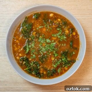 Moroccan Spiced Vegetarian Harira Soup Recipe for Cozy Meals 10 Vegetarian Harira Soup