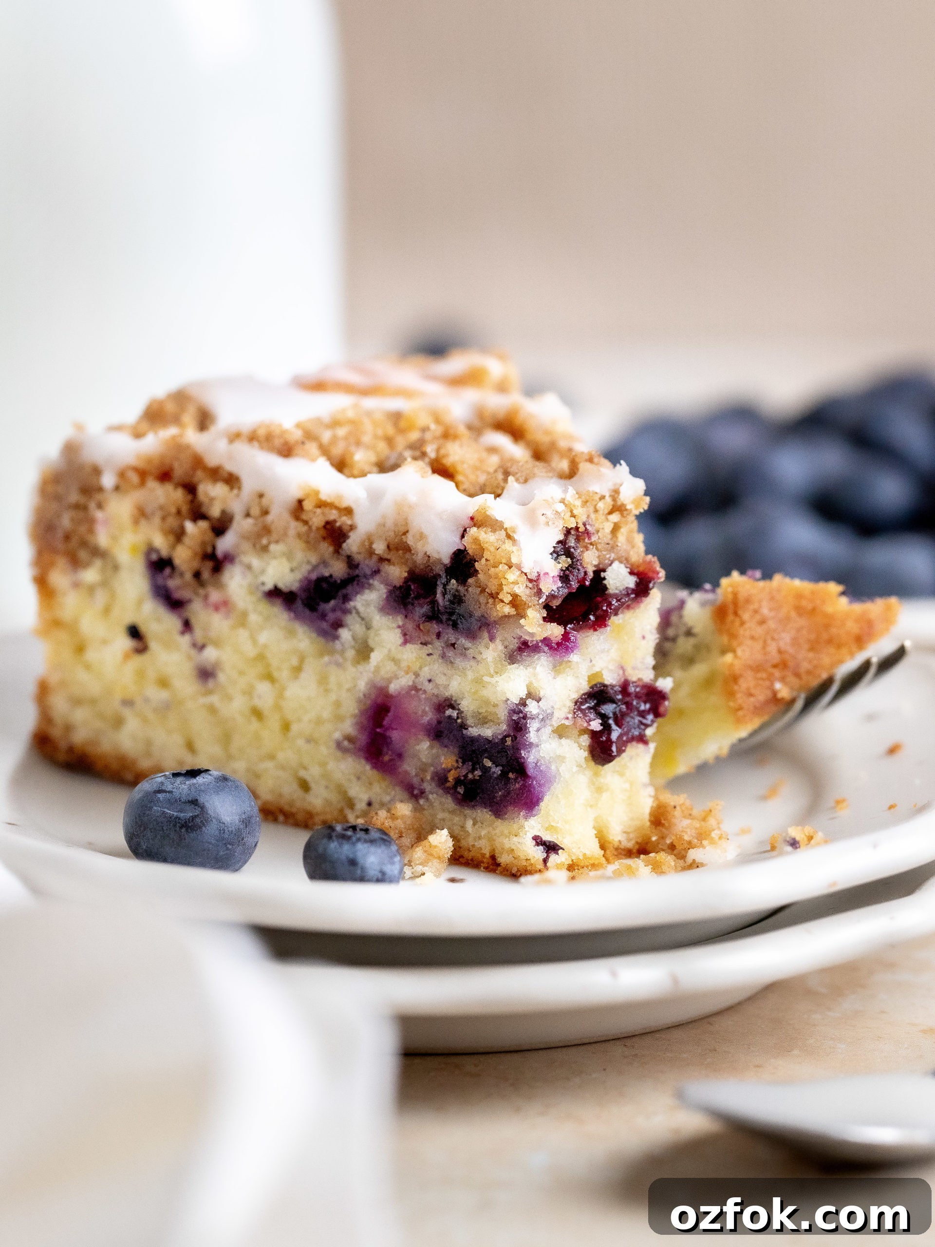 Blueberry Streusel Coffee Cake Recipe for Brunch or Dessert 2 img 16599 1