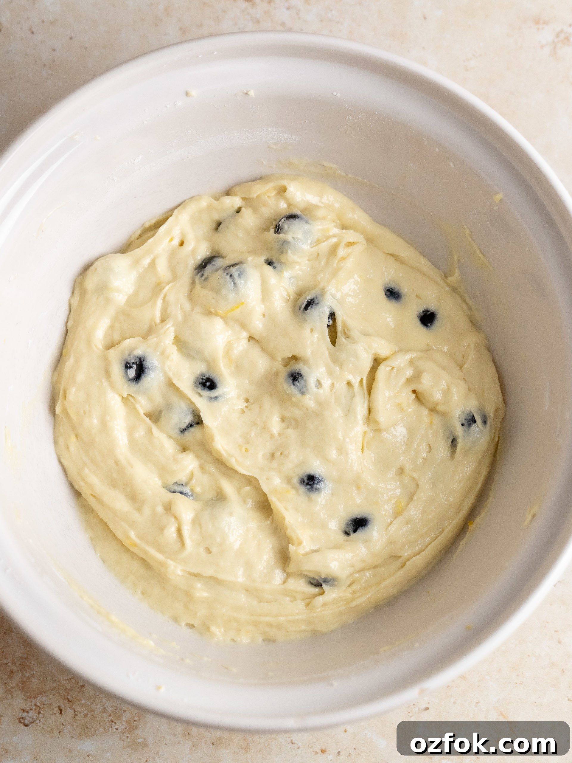 Blueberry Streusel Coffee Cake Recipe for Brunch or Dessert 4 img 16599 3