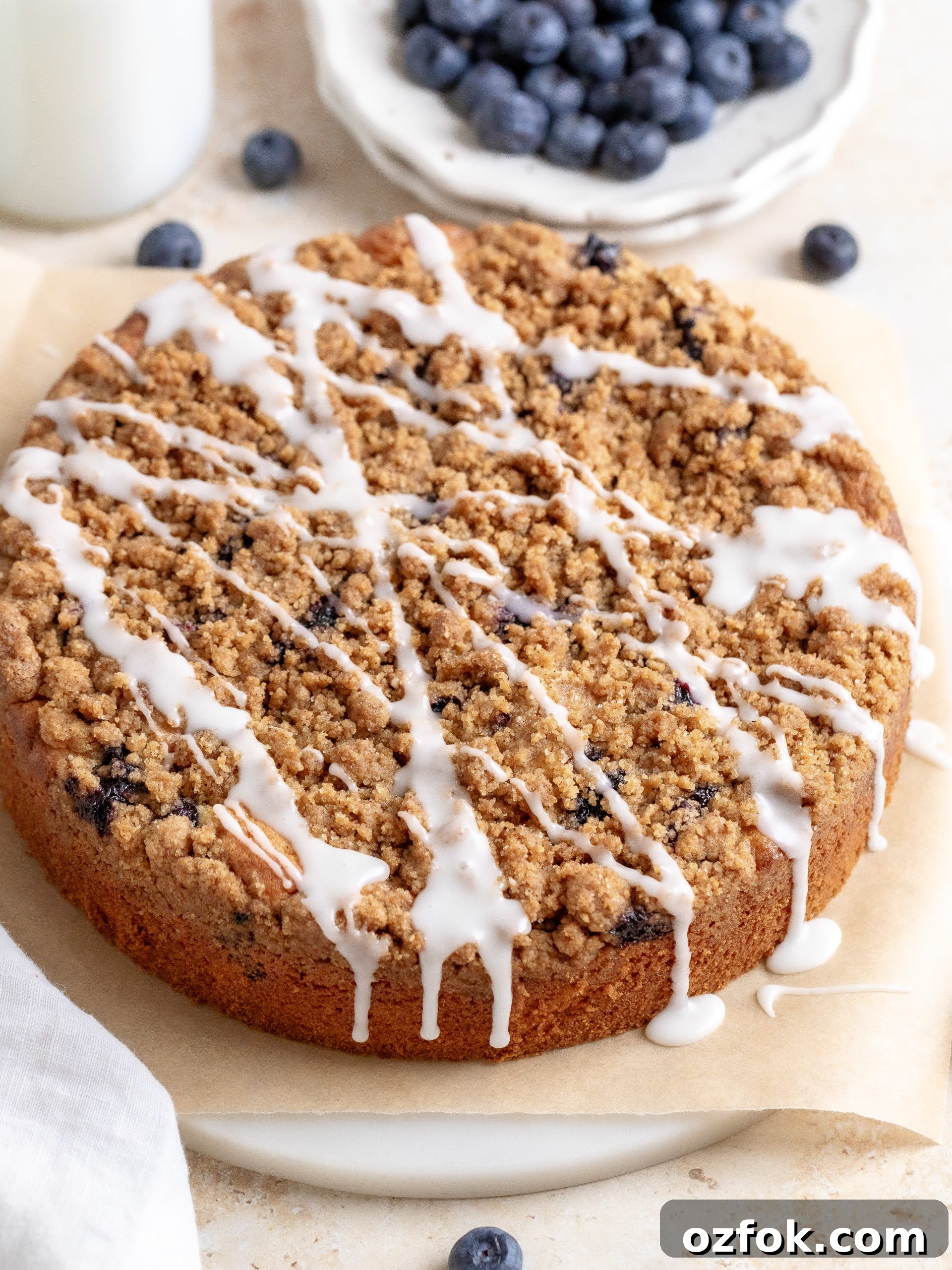 Blueberry Streusel Coffee Cake Recipe for Brunch or Dessert 8 img 16599 7