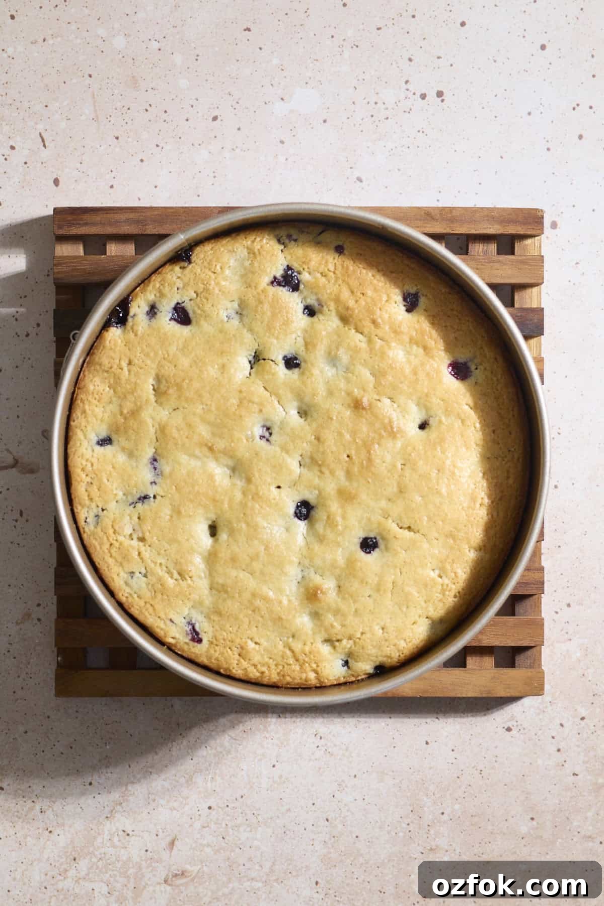 Baked cake in a springform pan.