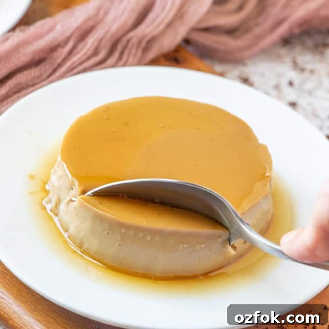 coffee flavored custard on white plate
