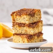 Lemon Poppy Seed Crumb Cake Recipe — Moist Zesty Dessert 11 Super moist and light healthy lemon poppy seed crumb cake recipe