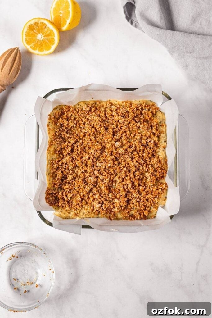 Lemon Poppy Seed Crumb Cake Recipe — Moist Zesty Dessert 9 Lemon poppy seed cake batter with crumble topping before baking