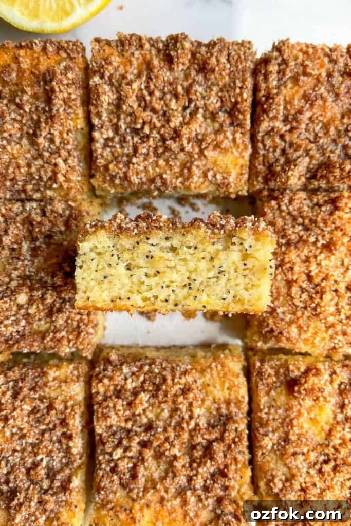 Lemon Poppy Seed Crumb Cake Recipe — Moist Zesty Dessert 10 Texture of super moist healthy lemon poppy seed crumb cake
