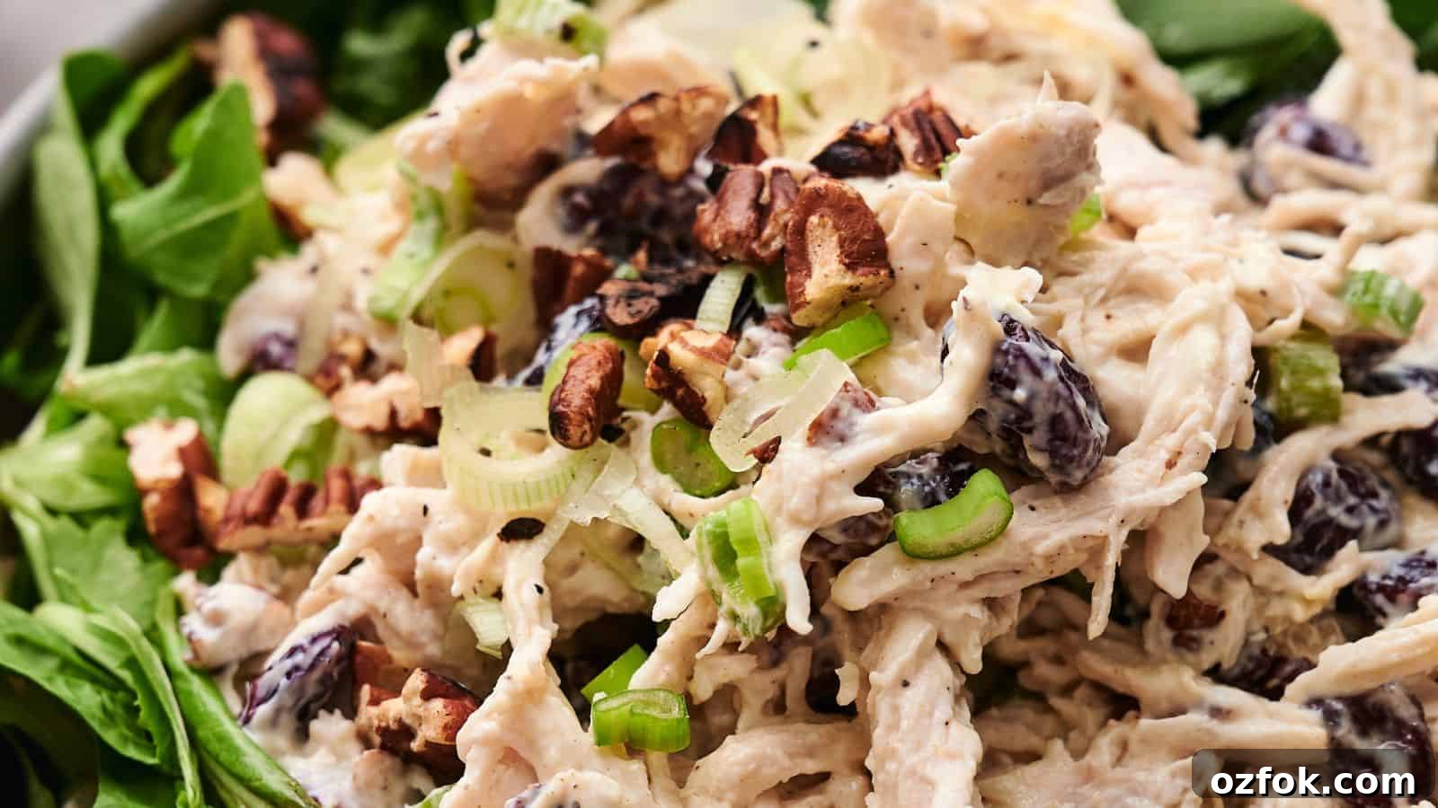 29 Irresistible Salad Recipes Everyone Will Love 7 Close-up of a flavorful chicken salad with diced chicken, green onions, chopped pecans, and raisins, all served on a bed of fresh spinach leaves.
