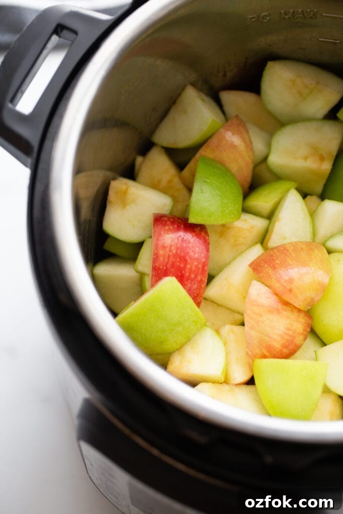 Instant Pot Applesauce Recipe — No-Peel Option Included 5 img 16959 4
