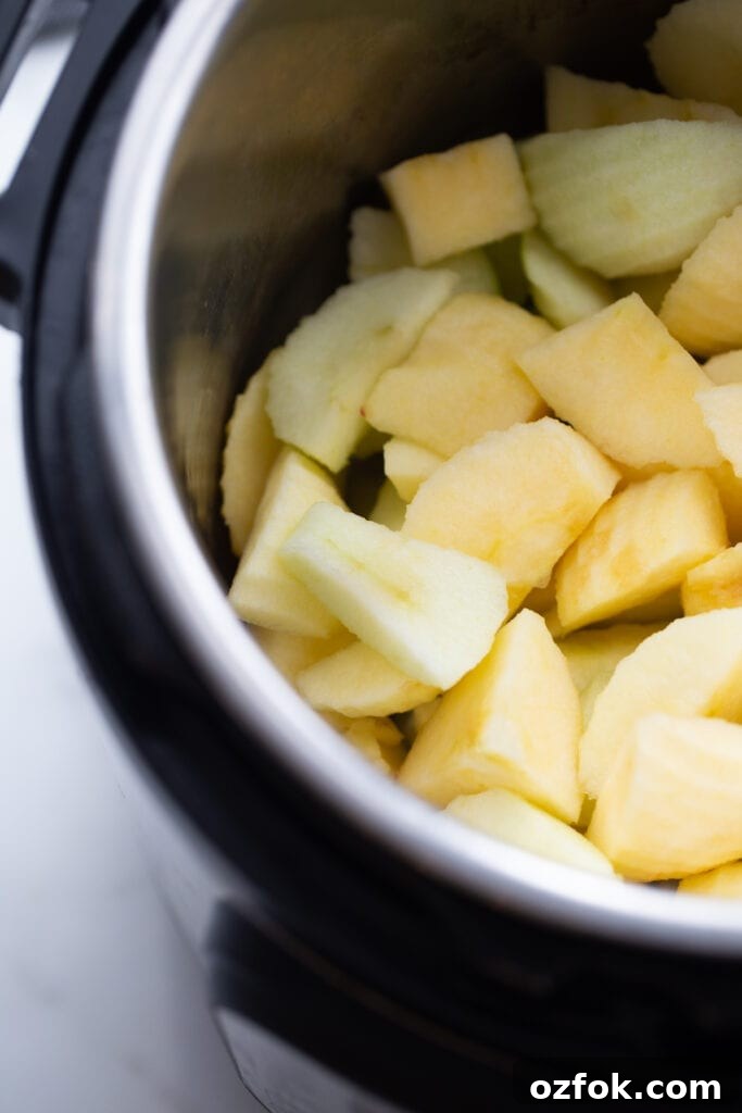 Instant Pot Applesauce Recipe — No-Peel Option Included 6 img 16959 5