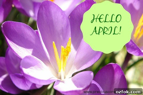 Hello April: Spring Events, Tips, and Seasonal Inspiration 2 img 171 1