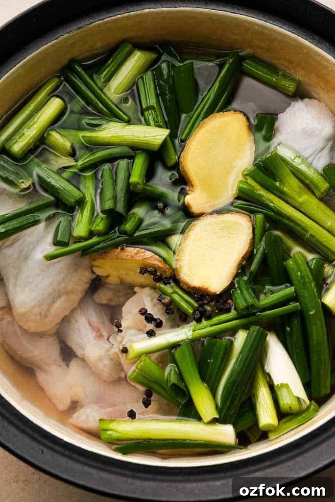 Chicken stock recipe Scallions, ginger, peppercorns, and chicken wings submerged in water in a pot.