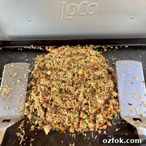 Plate of chicken fried rice